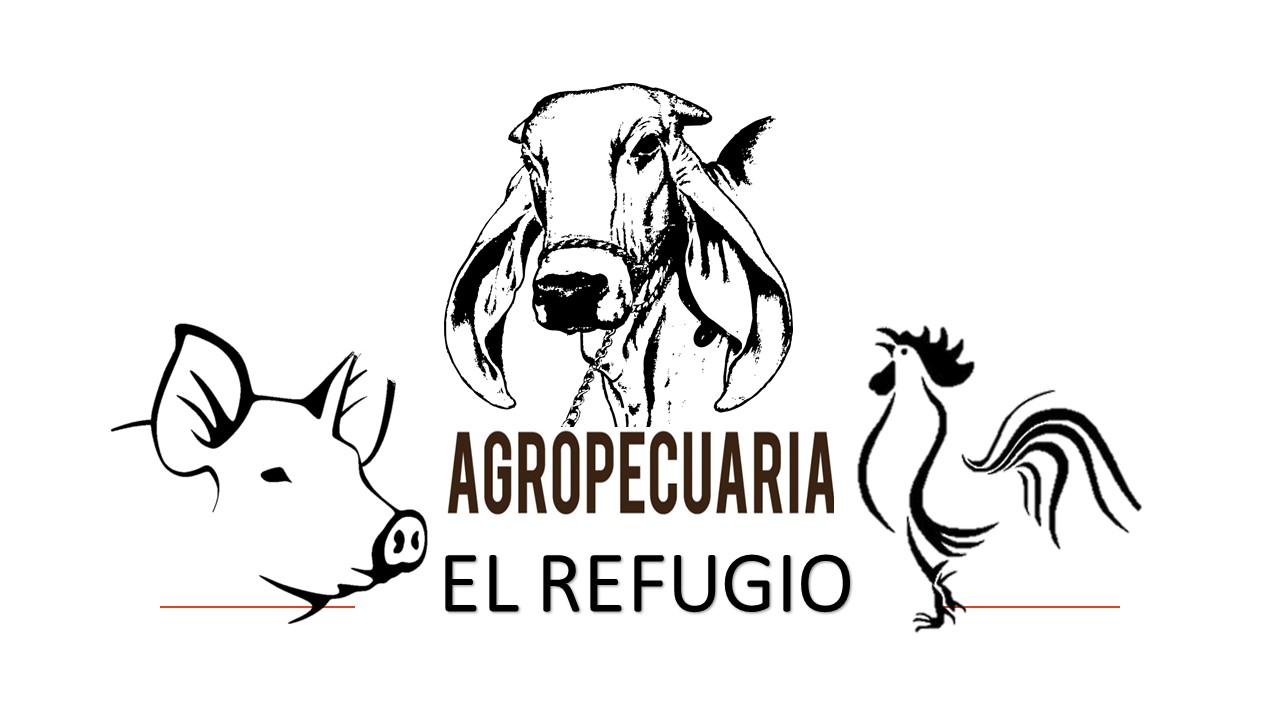 EL REFUGIO